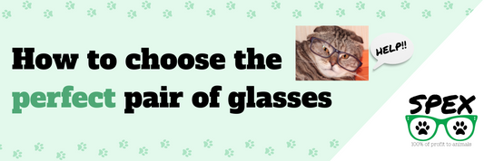 How to Choose the Perfect Pair of Glasses
