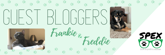 Guest Bloggers Frankie & Freddie