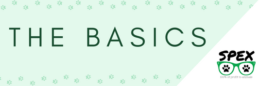 The Basics: Need to Know
