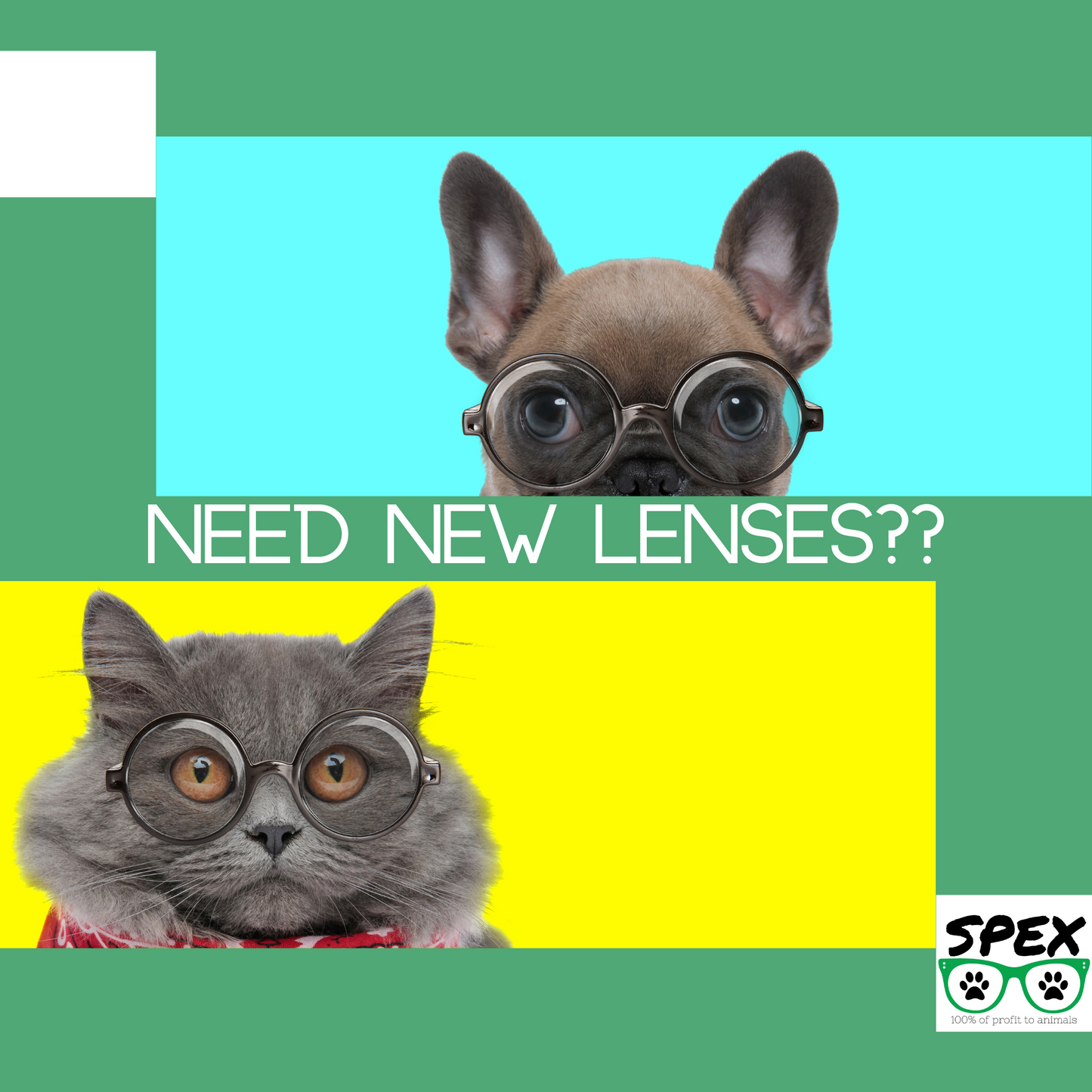 Lens Replacement in your SPEX Frame
